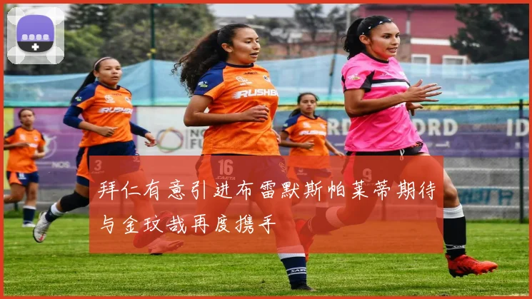 拜仁有意引进布雷默斯帕莱蒂期待与金玟哉再度携手